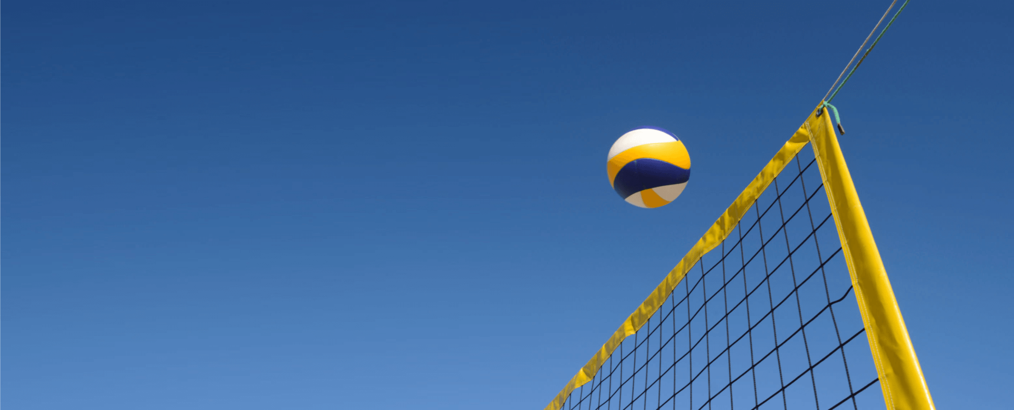 Trust The Net